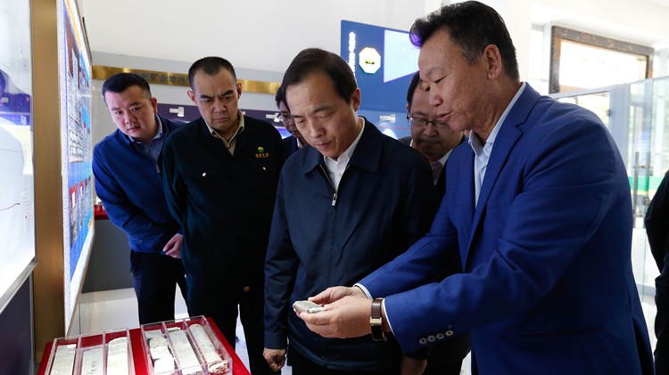 省委常委、副省長周學文蒞臨金徽股份調研綠色礦山建設工作